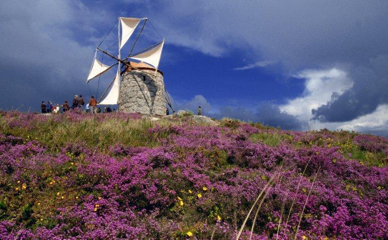 Casa De Campo Sossego Da Lata Fafe Dış mekan fotoğraf