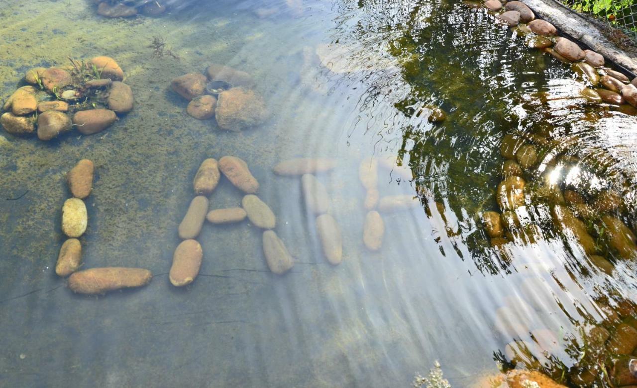 Casa De Campo Sossego Da Lata Fafe Dış mekan fotoğraf